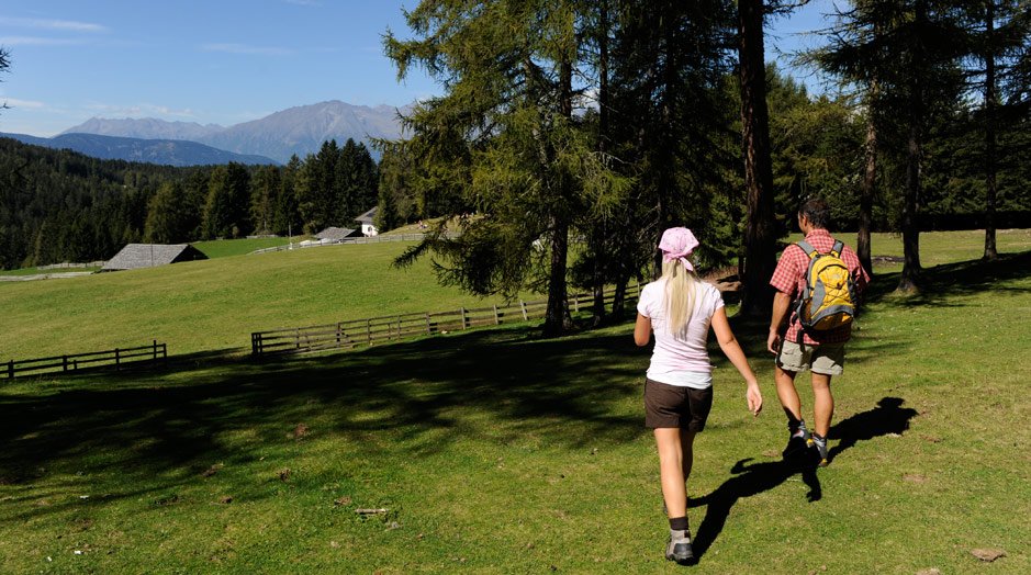 Wanderung über die Lärchenwiesen des Salten