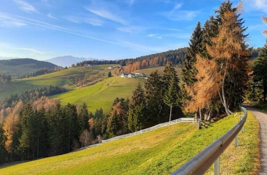 Appartments Greif in Vöran bei Meran / Südtirol