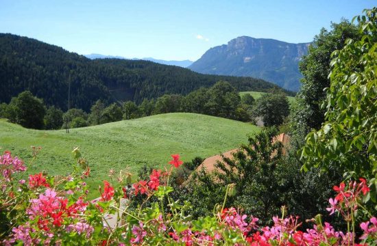 Appartments Greif in Vöran bei Meran / Südtirol