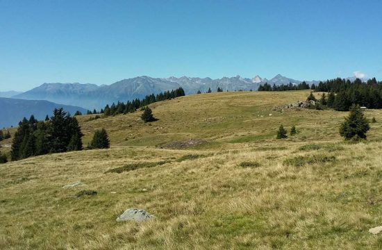 Appartamenti Greif a Verano vicino a Merano / Alto Adige 36