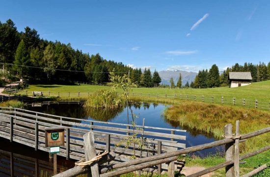 Appartamenti Greif a Verano vicino a Merano / Alto Adige 7