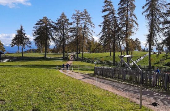 Appartments Greif in Vöran bei Meran / Südtirol