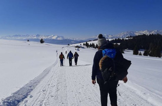 Appartamenti Greif a Verano vicino a Merano / Alto Adige 4