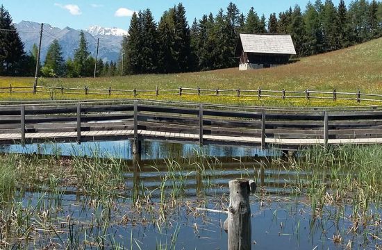 Appartamenti Greif a Verano vicino a Merano / Alto Adige 31