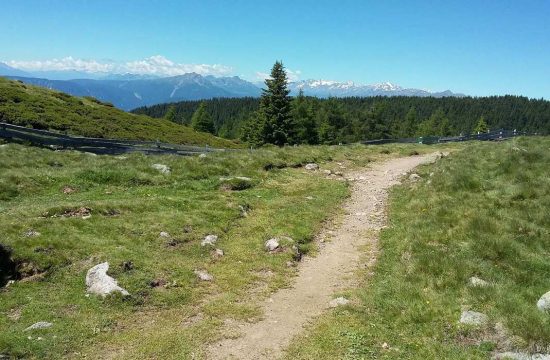 Appartments Greif in Vöran bei Meran / Südtirol