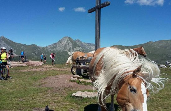 Appartamenti Greif a Verano vicino a Merano / Alto Adige 29