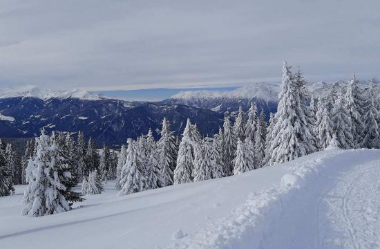 Appartments Greif im Winter