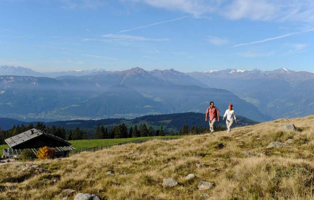 Aussichtsreiche 3 Almen-Rundwanderung