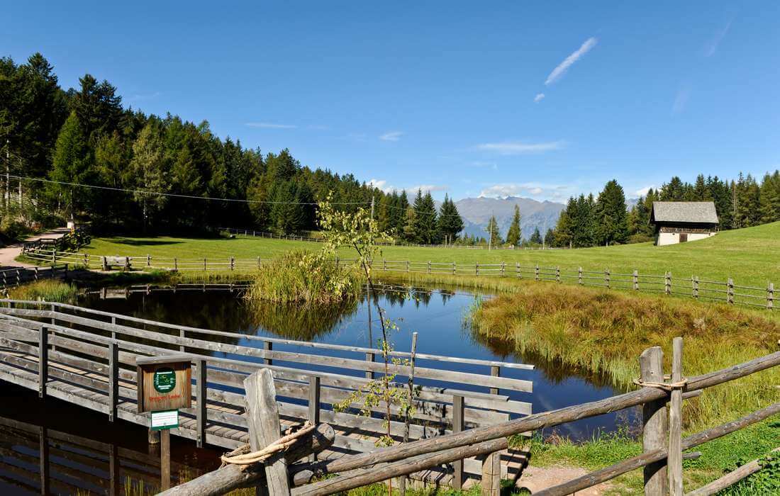Naturgenuss im Urlaub in Vöran/Südtirol