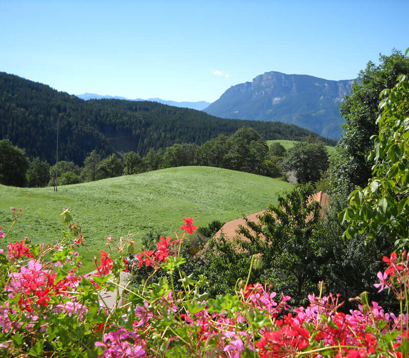 Vacanze estive nella regione di Merano